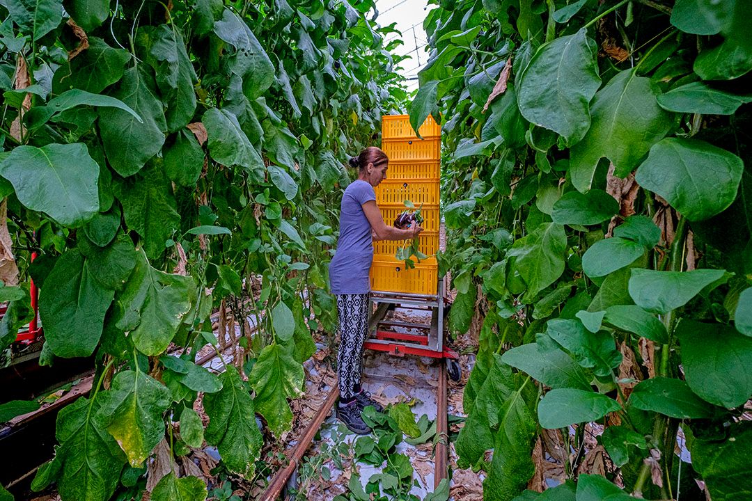 De subsidiepot voor energiemaatregelen wordt groter. Foto: Fred Libochant
