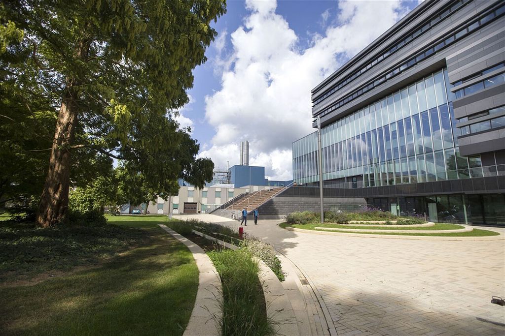 Het Britse Deep Branch heeft een Europese financiering van € 2,5 miljoen binnengehaald en bouwt daarmee een pilot-fabriek op de Brightlands Chemelot Campus in Sittard-Geleen. Foto: ANP/Annemiek Mommers