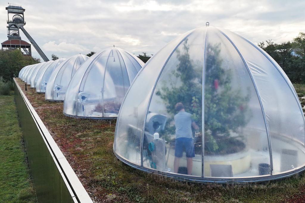 In de Belgische provincie Limburg wordt in een cluster van 12 transparante koepels perenteelt getest in het jaar 2040. Foto: Reuters