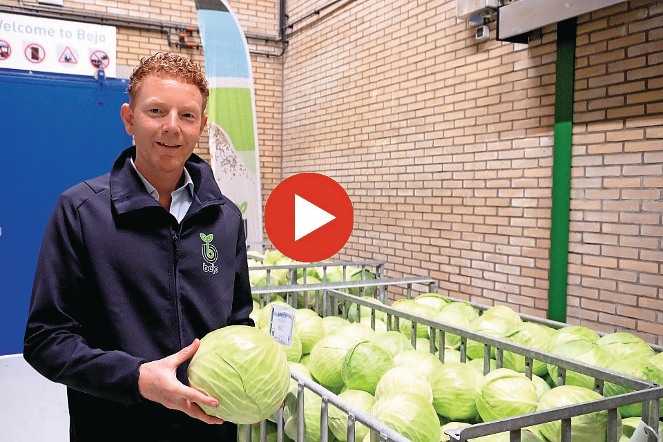 Ronald Hand van Bejo Zaden. Foto: Iris Hofman