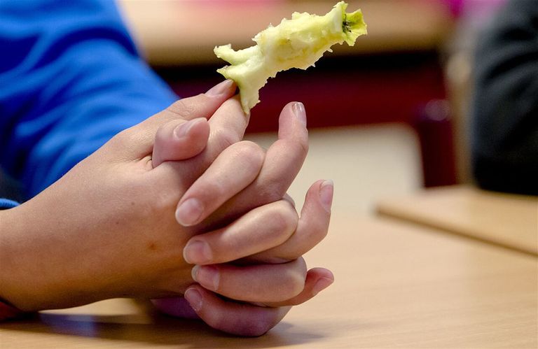 gezonde en duurzame voeding scholen