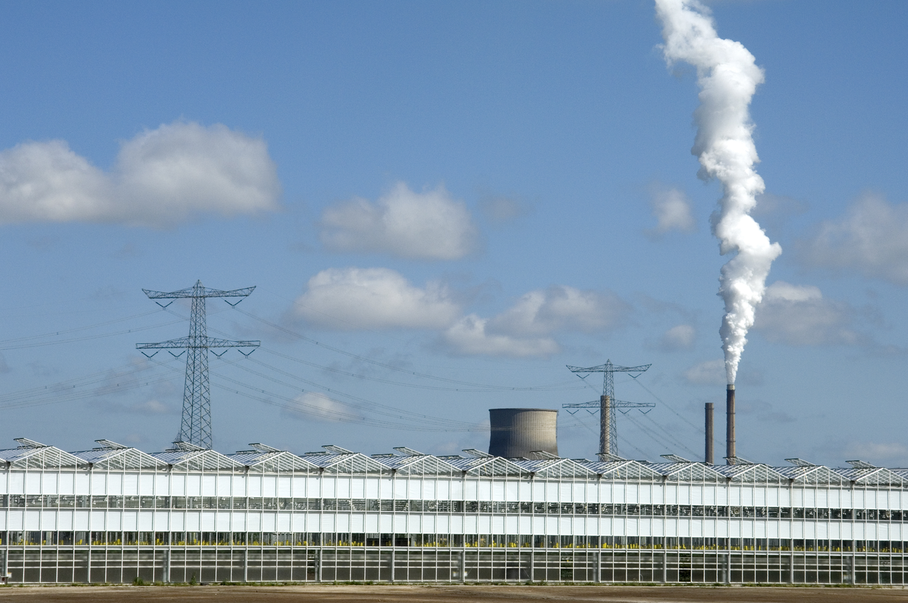 &apos;Het laatste gas zal niet naar de tuinder gaan&apos;