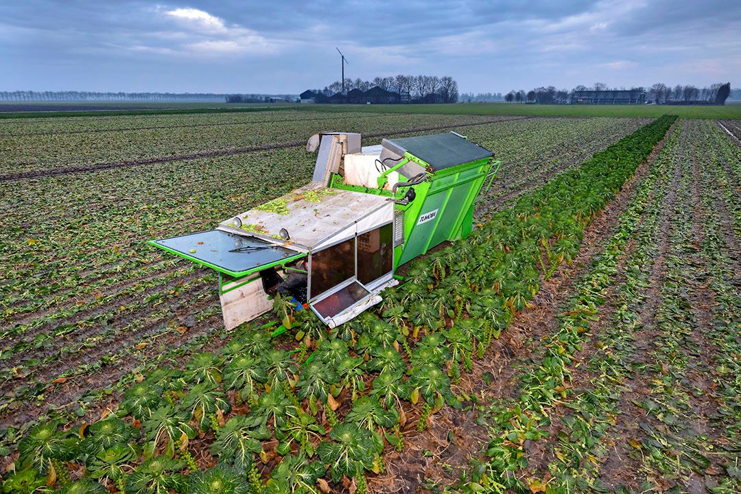 Foto: Ruud Ploeg