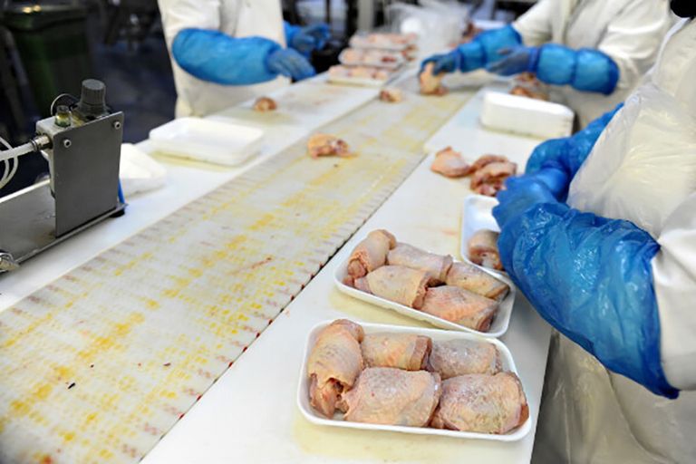 Vooral dankzij de Nederlandse genetica komt de Braziliaanse export van kip dit jaar uit op 4 miljoen ton. - Foto: Canva
