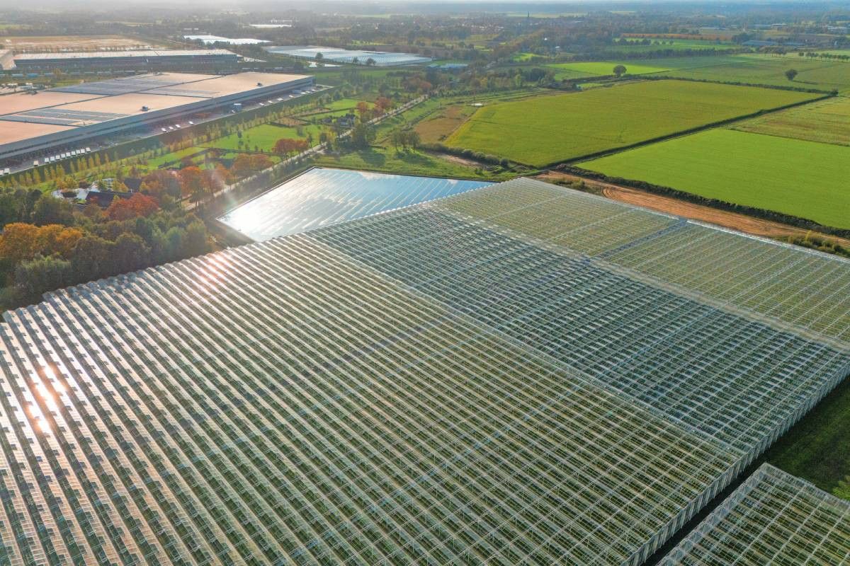 In totaal gaat CBS uit van 340 hectare nieuw glas in 2025. Foto: Bert Jansen