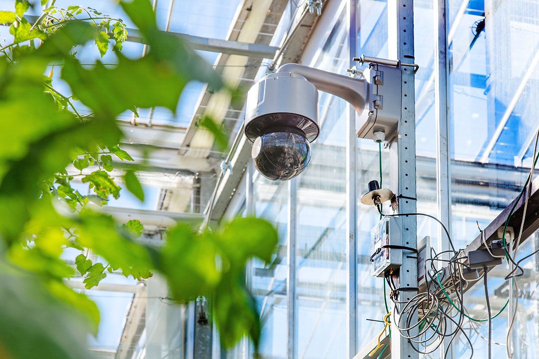 Camera's en sensoren houden op afstand teelten in de gaten. - Foto: Gerard-Jan Vlekke / Fotovak