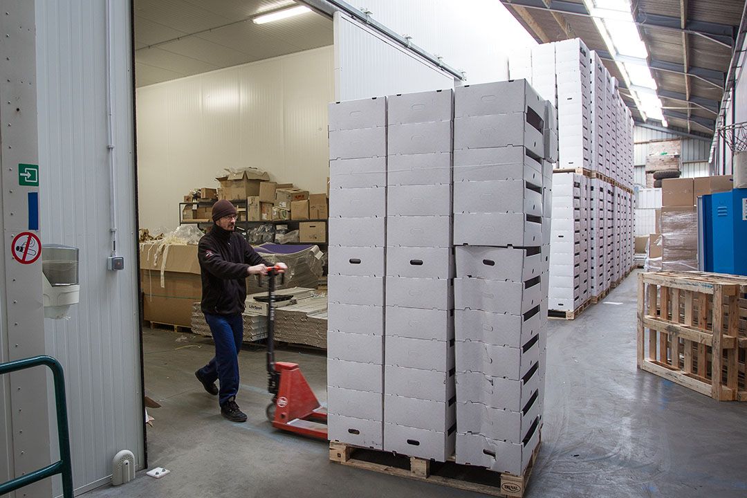Aanvullen voorraad peren. - Foto: Peter Roek