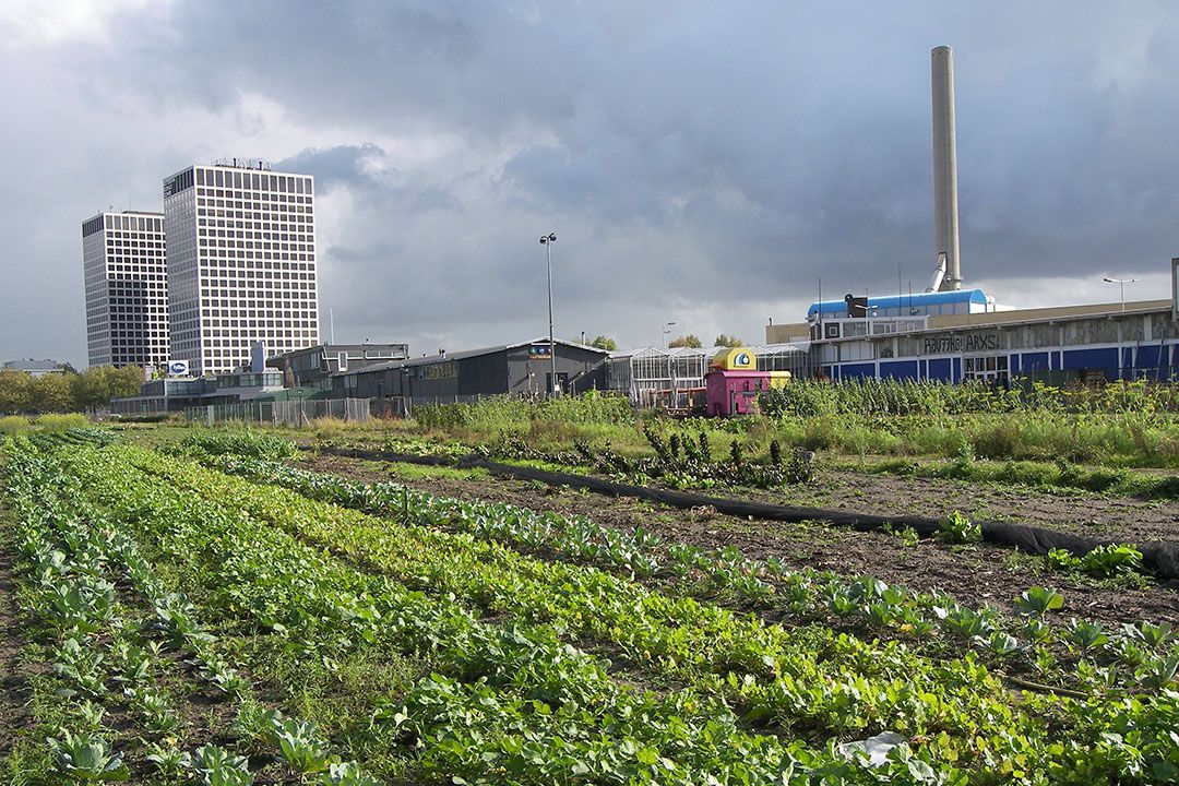 stadstuinbouw