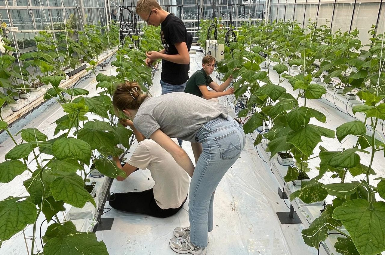 Installatie van Vivent-sensoren door studenten om plantreacties te monitoren. Foto’s: Zone.college