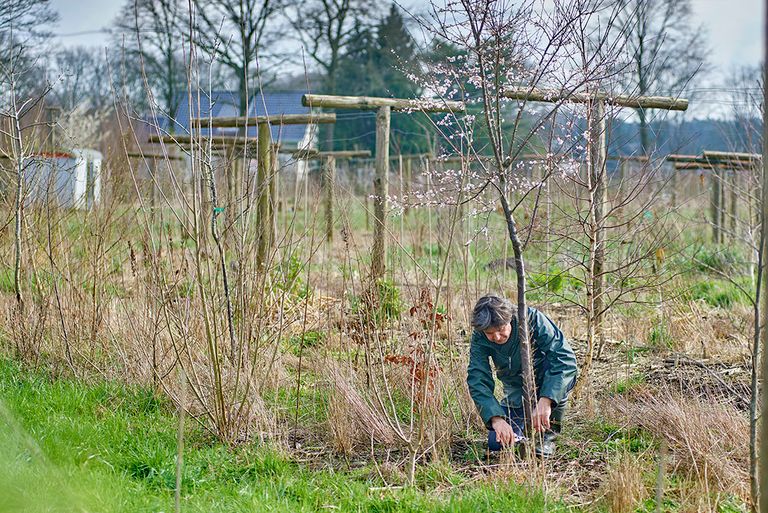 Een voedselbos in ontwikkeling. Foto: Van Assendelft Fotografie