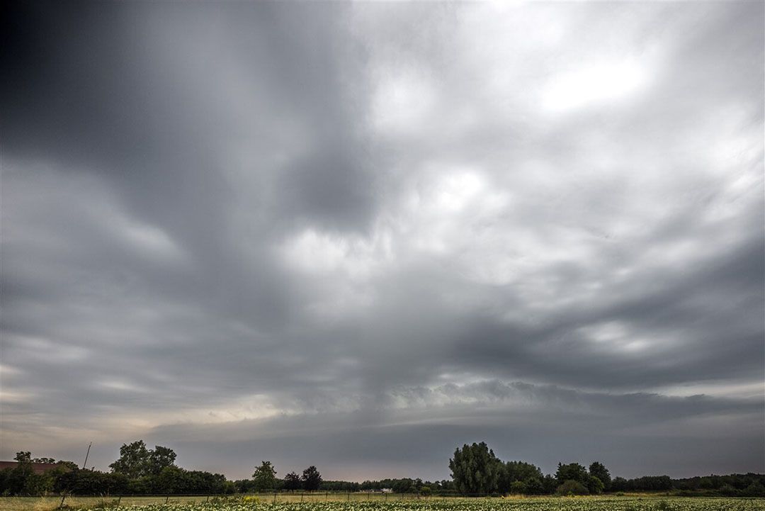 Dankzij flinke buien staat het tekort aan regen met 117 millimeter nu vrijwel op dat van het langjarig gemiddelde. - Foto: ANP