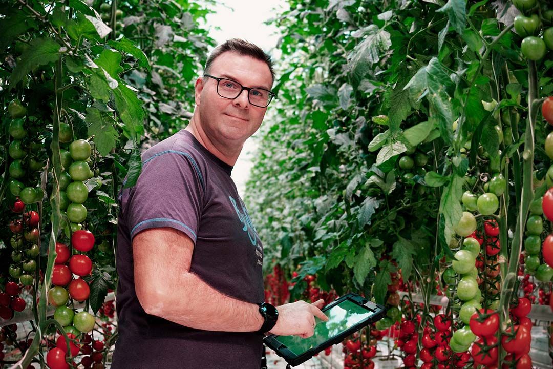 Tomatenteler Frans van den Arend van Bryte aan de slag met de gewasmanagement systemen van Source. - Foto: Source.ag