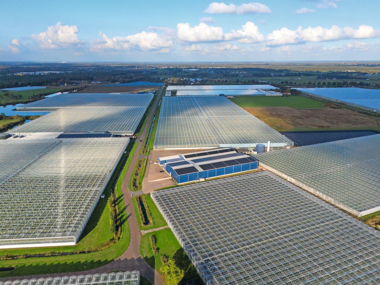 De compensatie aan telers hangt af van hoe hoog de CO2-heffing oploopt. Op dat oplopen richt zich nu de aandacht. Foto: Bert Jansen