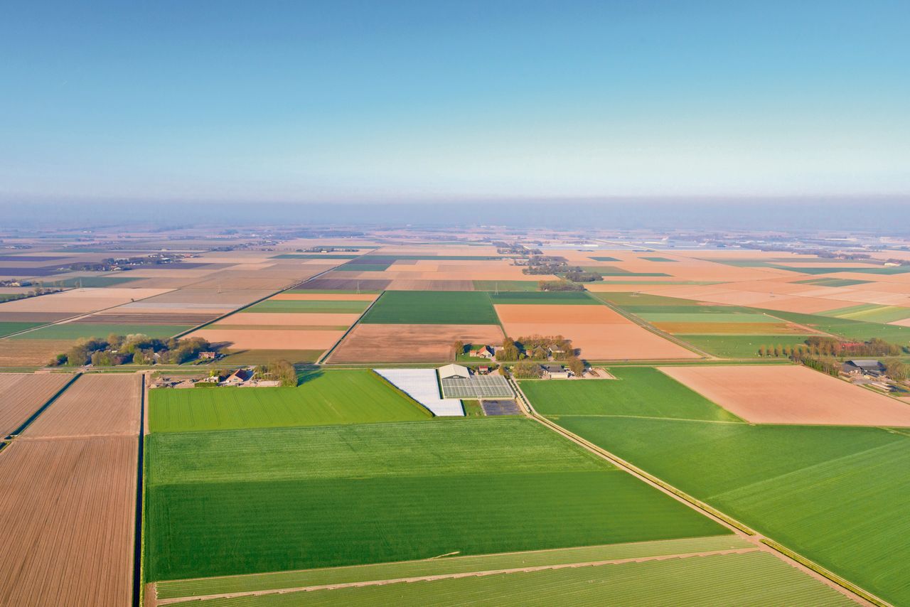 Flevoland. De verschillen tussen pachtprijzen zijn per regio groot. De hoogste pachtnorm geldt, zoals al jaren, in de IJsselmeerpolders. Foto: Canva/Sjo