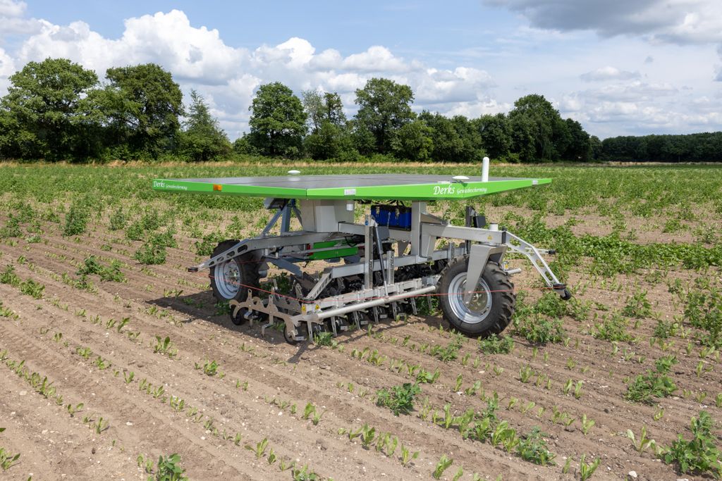 Schoffel-/wiedrobots als vorm van precisielandbouw wordt gezien als mogelijkheid om de afhankelijkheid van gewasbeschermingsmiddelen te verminderen. Foto: Peter Roek