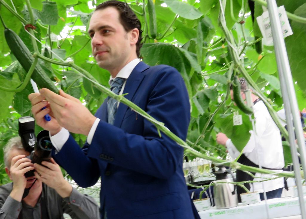 Staatssecretaris Van dam (EZ) snijdt een komkommer in de Winterlichtkas, die hij even tevoren ceremonieel geopend heeft. - Foto: Ton van der Scheer