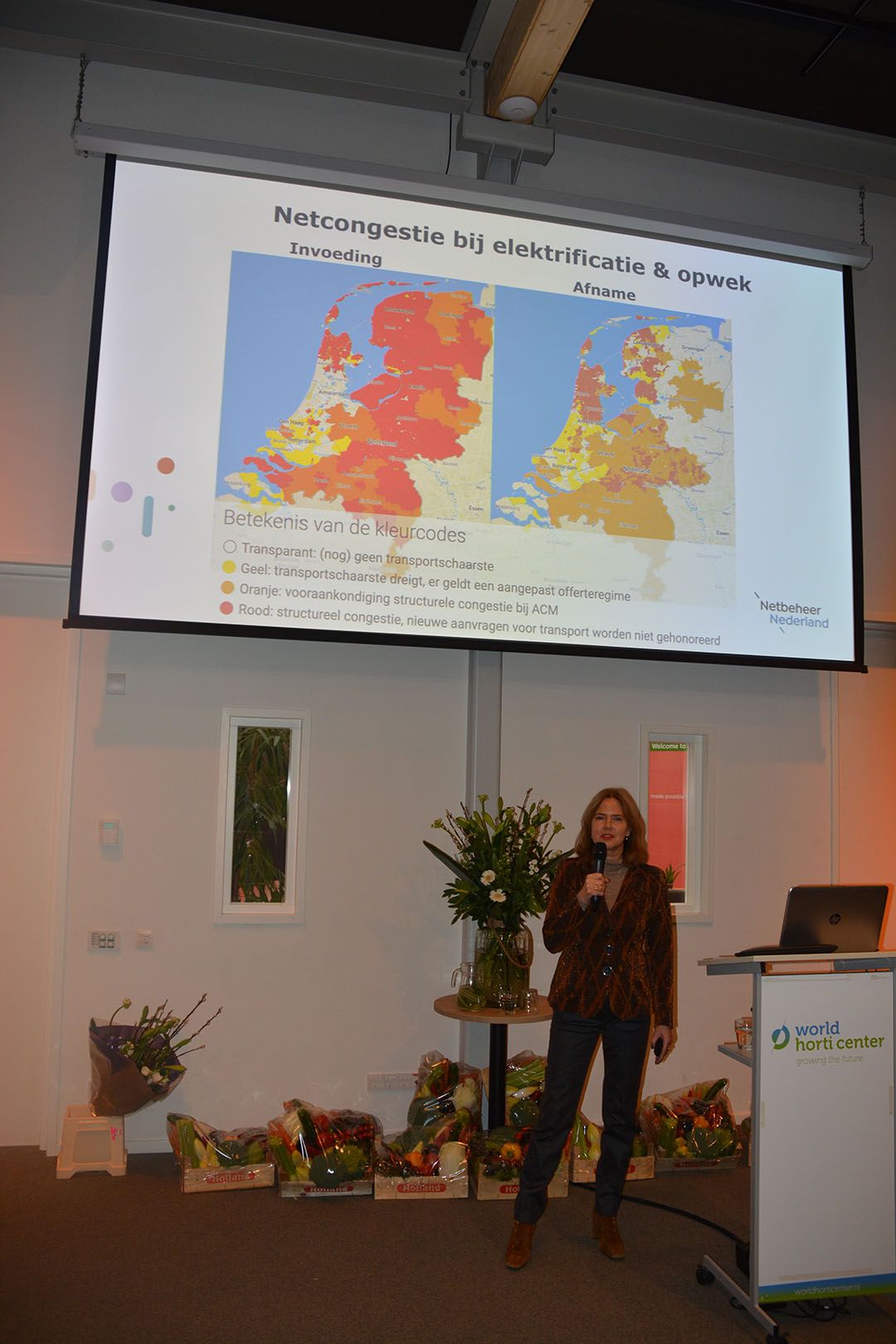 Met meer elektrificatie in de duurzame energievoorziening ziet Cora van Nieuwenhuizen ook de druk op de netwerkcapaciteit toenemen.