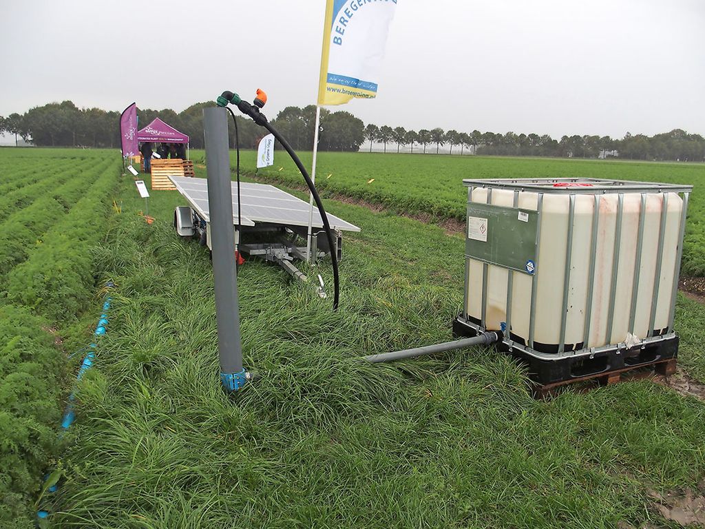 Irrigatie in peen op de Landelijke Peendag in 2019 - Foto: Stan Verstegen.