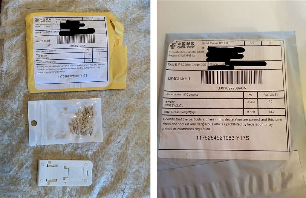 De verdachte pakketjes met zaad uit China zijn in 27 Amerikaanse staten opgedoken. - Foto: EPA