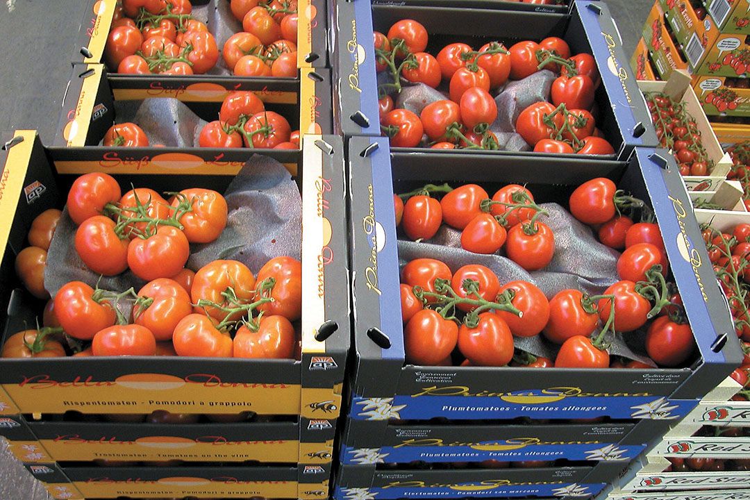 Trostomaten op de groothandelsmarkt. Foto: Groenten&Fruit