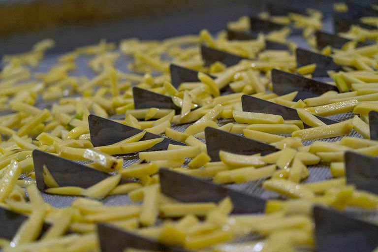 Clarebout en Mydibel maken allebei aardappelproducten zoals frites. - Foto: Jan Willem Schouten