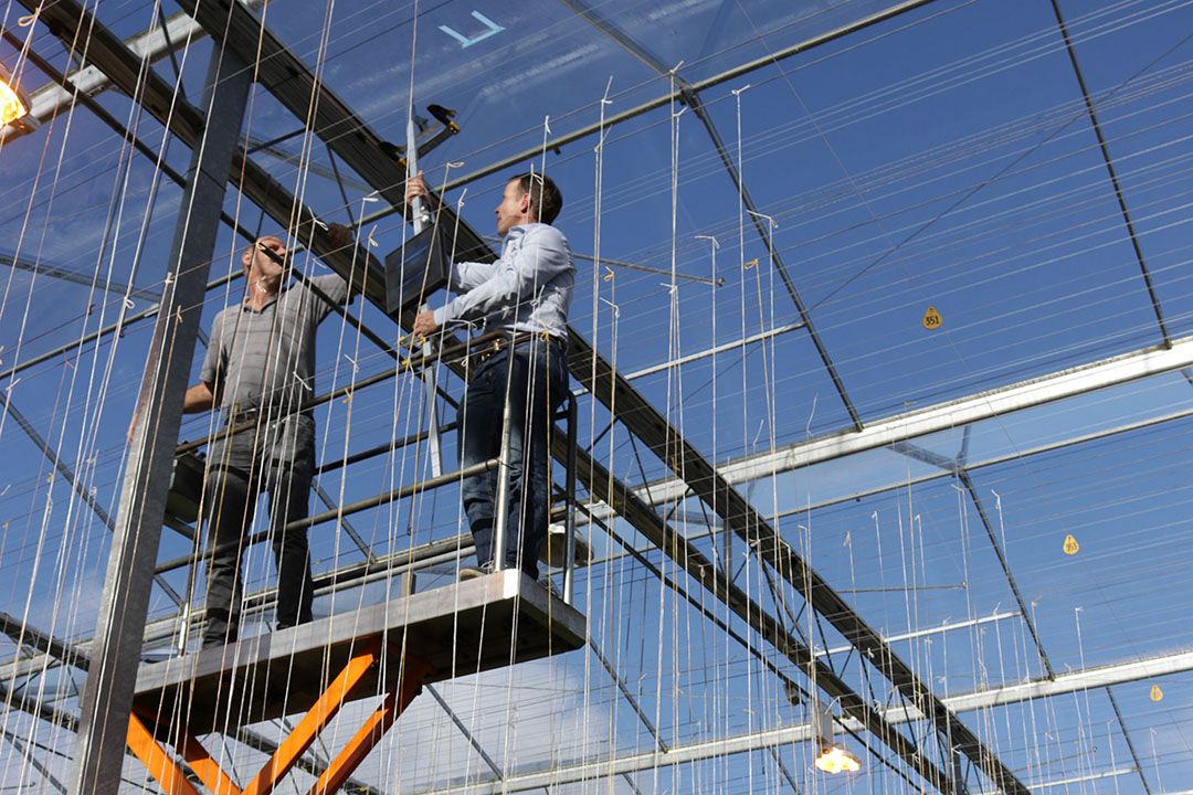 Coatings zijn een belangrijk onderdeel van het assortiment van Horticoop. - Foto: Mardenkro