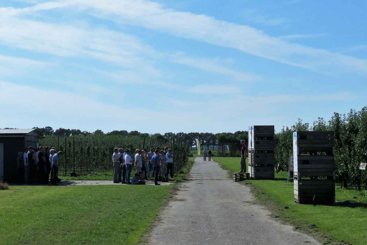 Telers laten zich informeren over demo's en onderzoek op Proeftuin Randwijk. Foto: Ton van der Scheer
