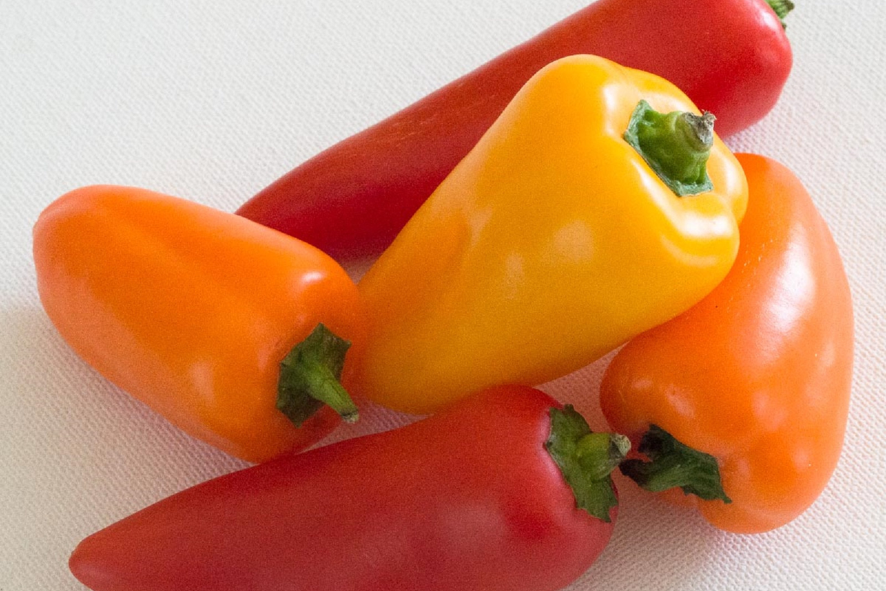 Growers United zou op deze wijze mede-eigenaar worden van de bedrijven Finca Boyal en SHOG SL, de Spaanse dochters van Scherpenhuizen Spain die actief zijn in teelt van snackkomkommers en snackpaprika. Foto: Canva