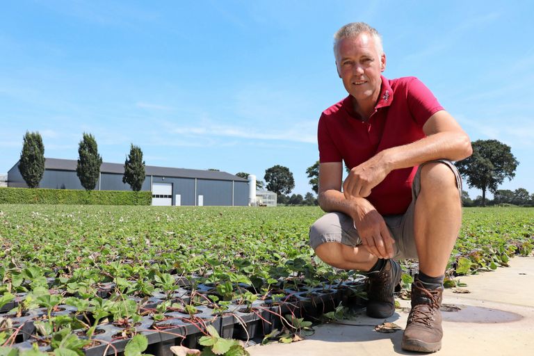 Harrie Pijnenburg. - Foto: Joost Stallen