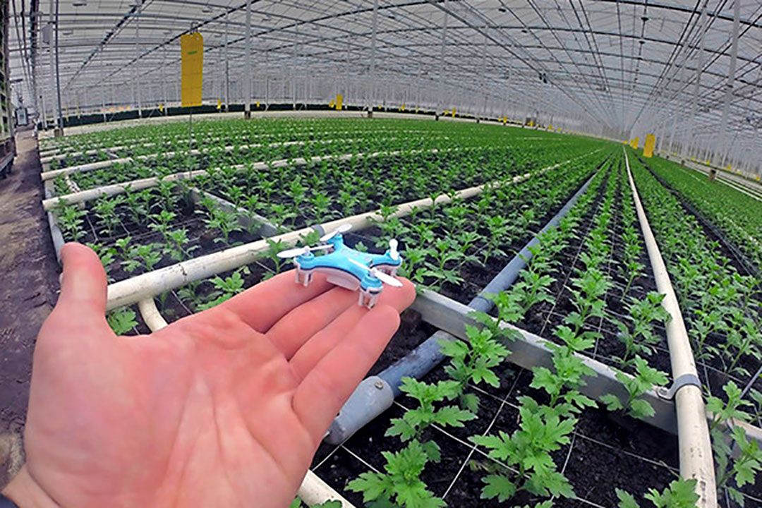 Foto: Pats Indoor Drone Solutions