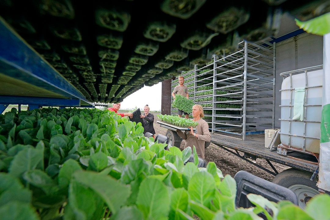 Voor scholieren en studenten met een bijbaan blijft wel de onderbrekingstermijn van 6 maanden bestaan. Foto: Joost Stallen