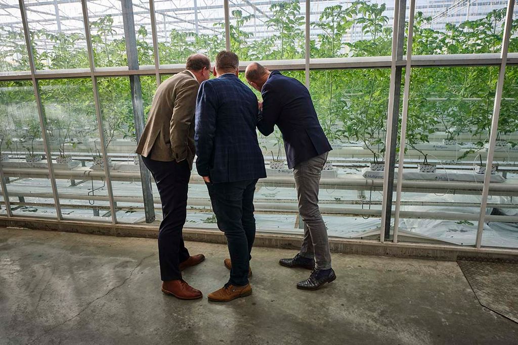 Directieleden Oxin Growers Hans Prins, Ton van Dalen en voorzitter Jan Oosterom. Foto: Roel Dijkstra