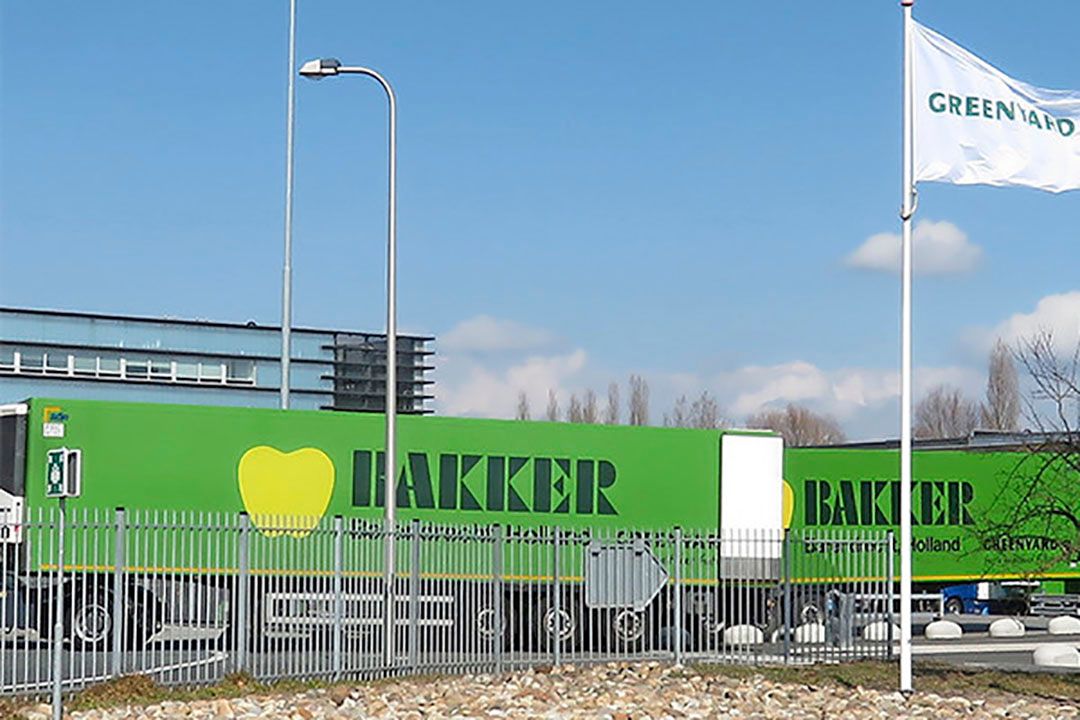 Foto: Ton van der Scheer