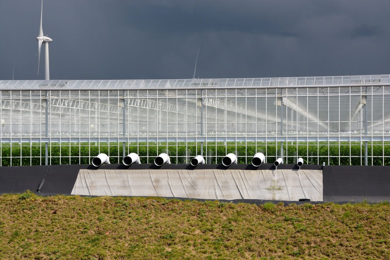 GMO voor telers versoepeld