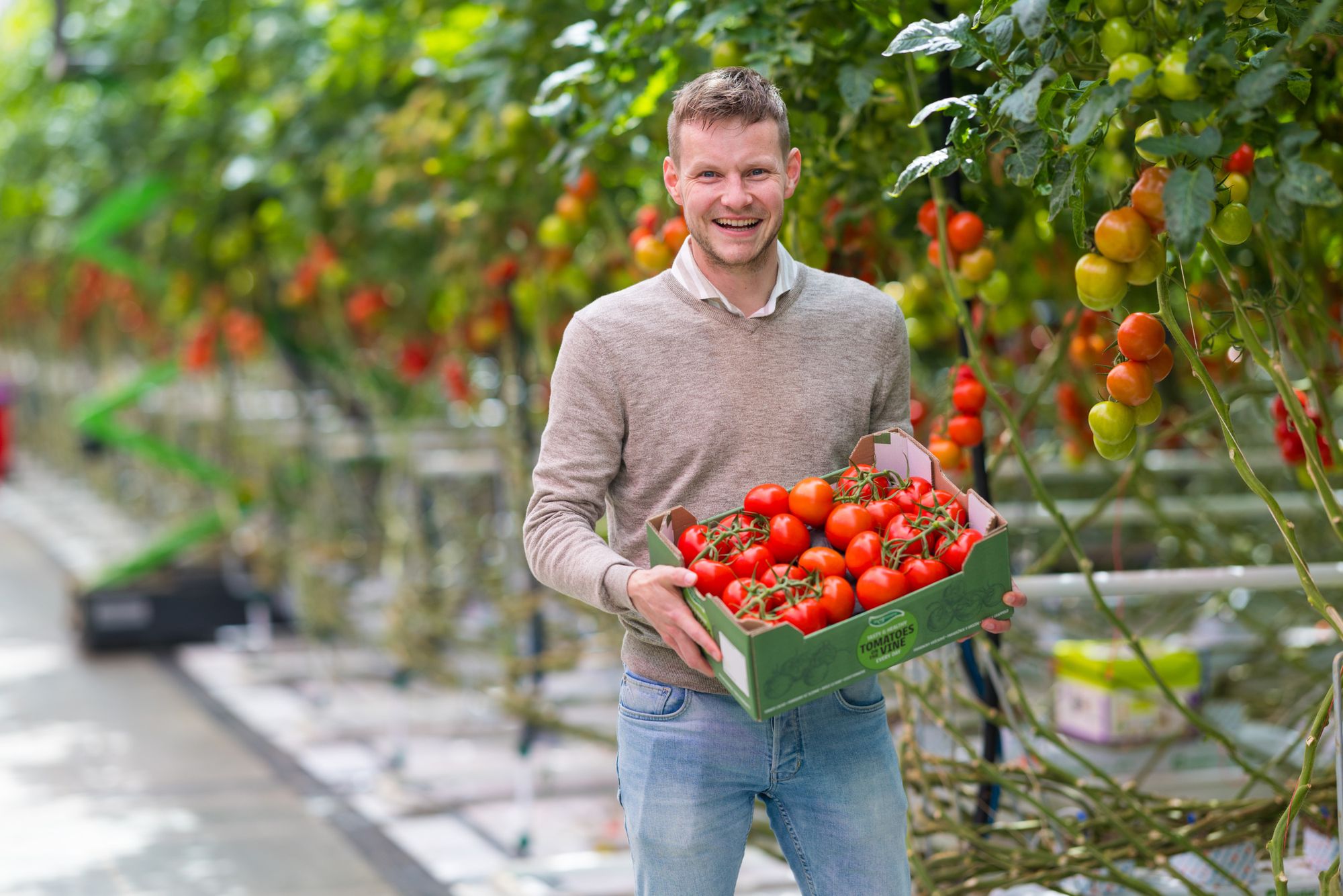 Joris Buijs, commercieel directeur van Noordhuys. – Foto’s: The Greenery