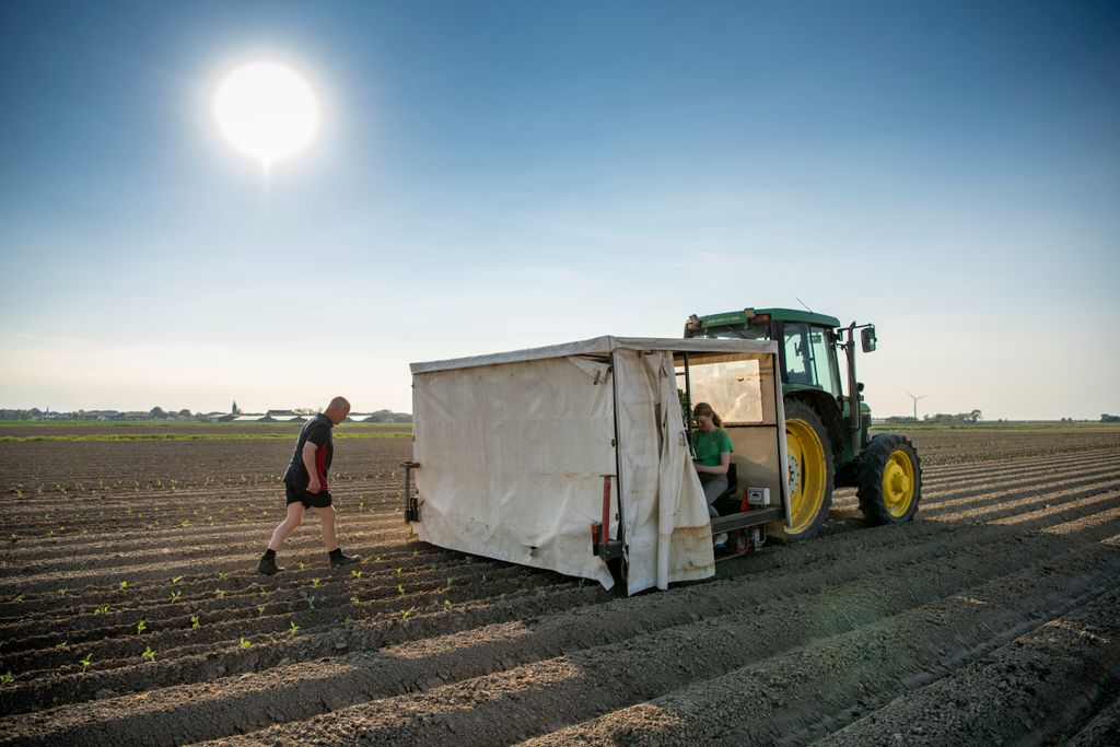 Werk dat vaste medewerkers ook kunnen doen, laten doen door zzp’ers wekt de aandacht van de Belastingdienst. Foto: Mark Pasveer