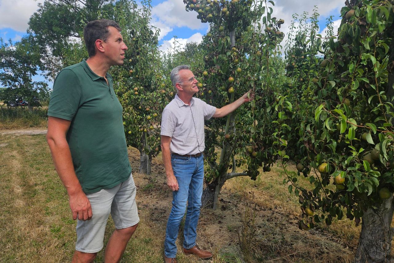 NFO-voorzitter John Kusters (rechts) bezoekt percelen in Zeeland die onder droogte lijden. Foto: NFO.