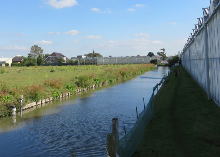 Woningen tussen kassen in het Westland. Foto: Ton van der Scheer