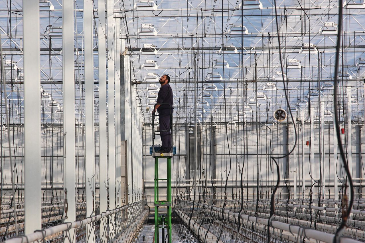 De onzekerheid bij Duitse bedrijven neemt toe over het energiebeleid. Foto: Groenten & Fruit