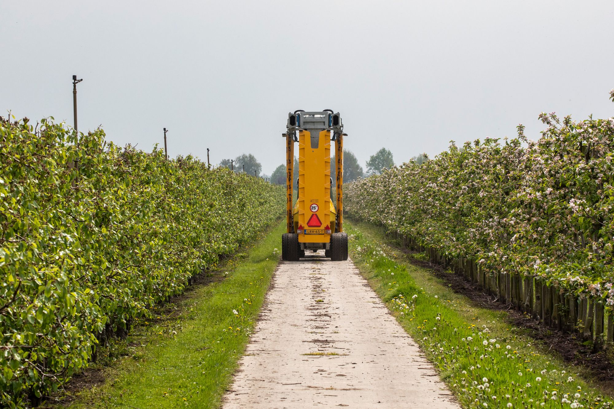 Foto: Anne van der Woude