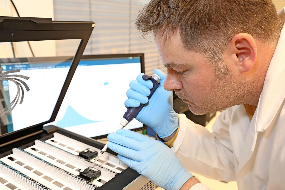 versoepeling Crispr-Cas