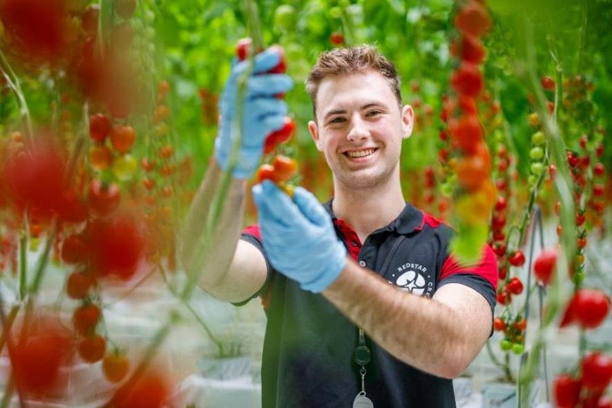 Hidde Preidel begon najaar 2023 naast zijn studie al al als junior teeltspecialist en werkt sinds begin dit jaar fulltime bij RedStar aan zijn afstudeerstage. – Foto: Blue Radix