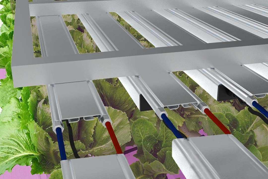 Voor de kas is een compactere Horti-lichtarmatuur voor minder schaduw in ontwikkeling. - Illustratie: Led-e-Lux