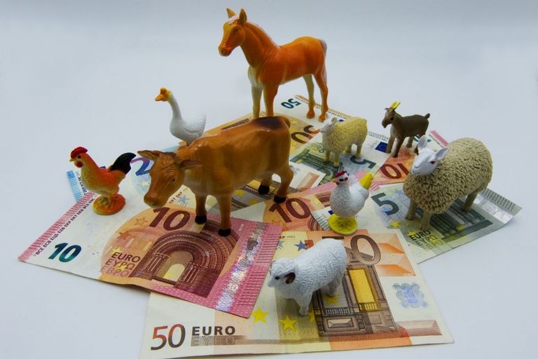 Feedback EU: banken versterken groei vlees- en zuivelsector