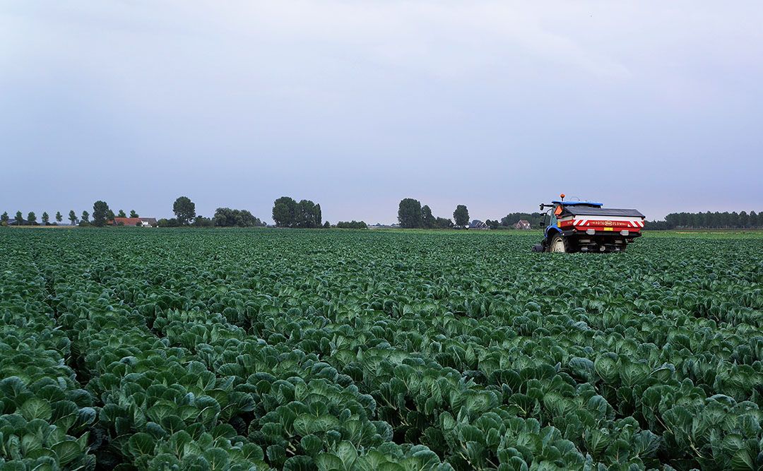 CZAV neemt al deel in de werkmaatschappijen CAV Agrotheek in Wieringerwerf en Heyboer in Biddinghuizen. - Foto: Groenten & Fruit