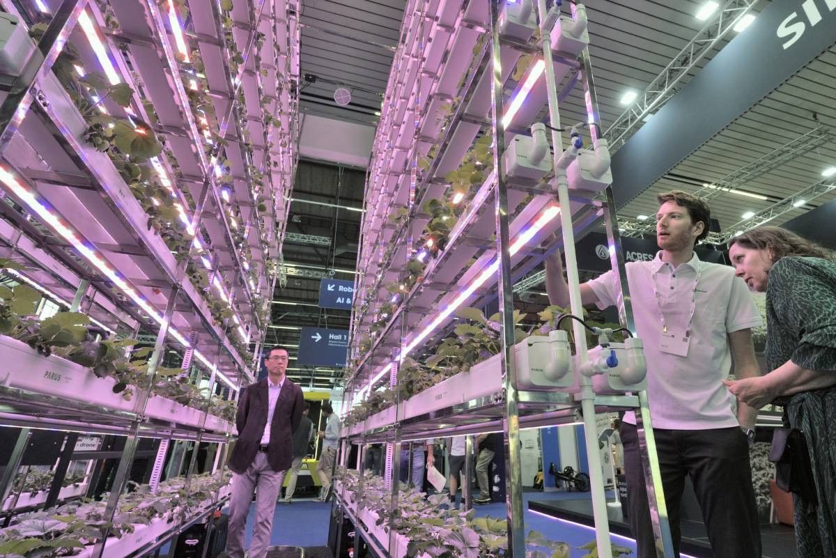 Automatisering en robotisering in de tuinbouw verhelpt het personeelstekort nooit helemaal. – Foto: ANP/ Hollandse Hoogte/ Flip Franssen