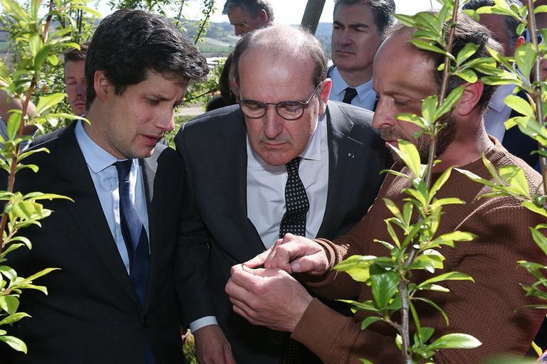De Franse premier Jean Castex (midden) en landbouwminister Julien Denormandie (links) krijgen uitleg bij de vorstschade in Frankrijk. - Foto: ANP