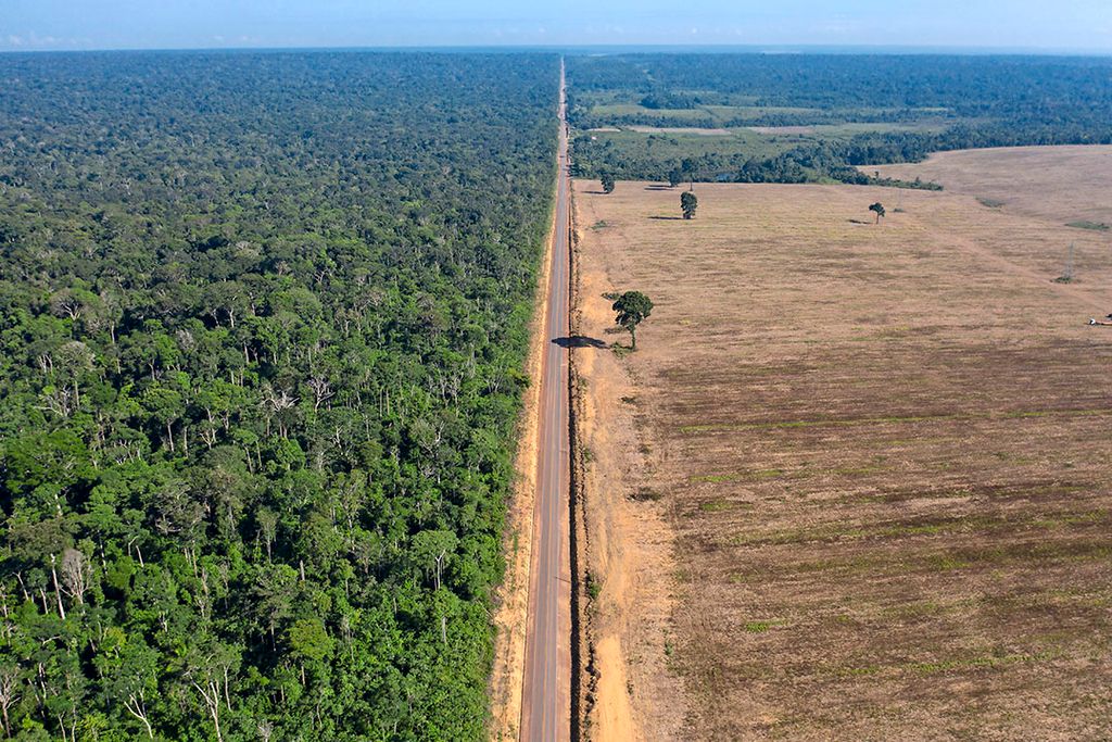 Een snelweg in Brazilië die loopt tussen links het Tapajos National Forest en rechts een sojaveld. - Foto: ANP
