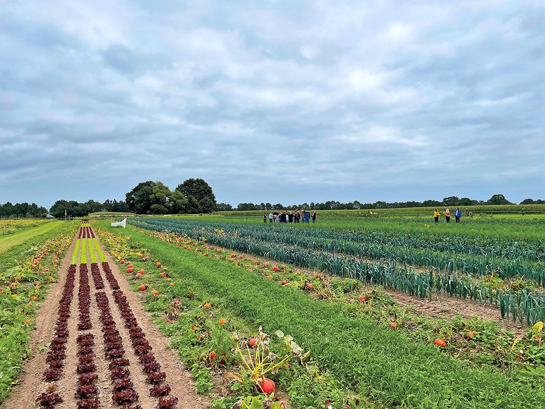 Strokenteeltprogramma van Vitalis. - Foto: Vitalis