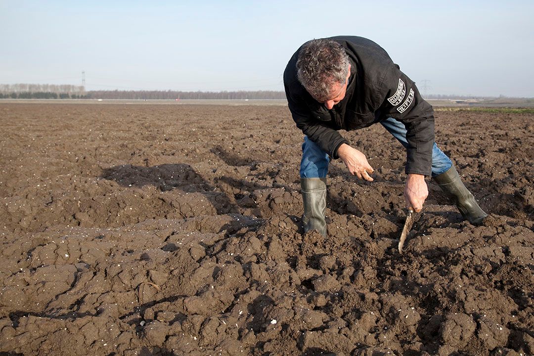 Foto: Jan Willem Schouten